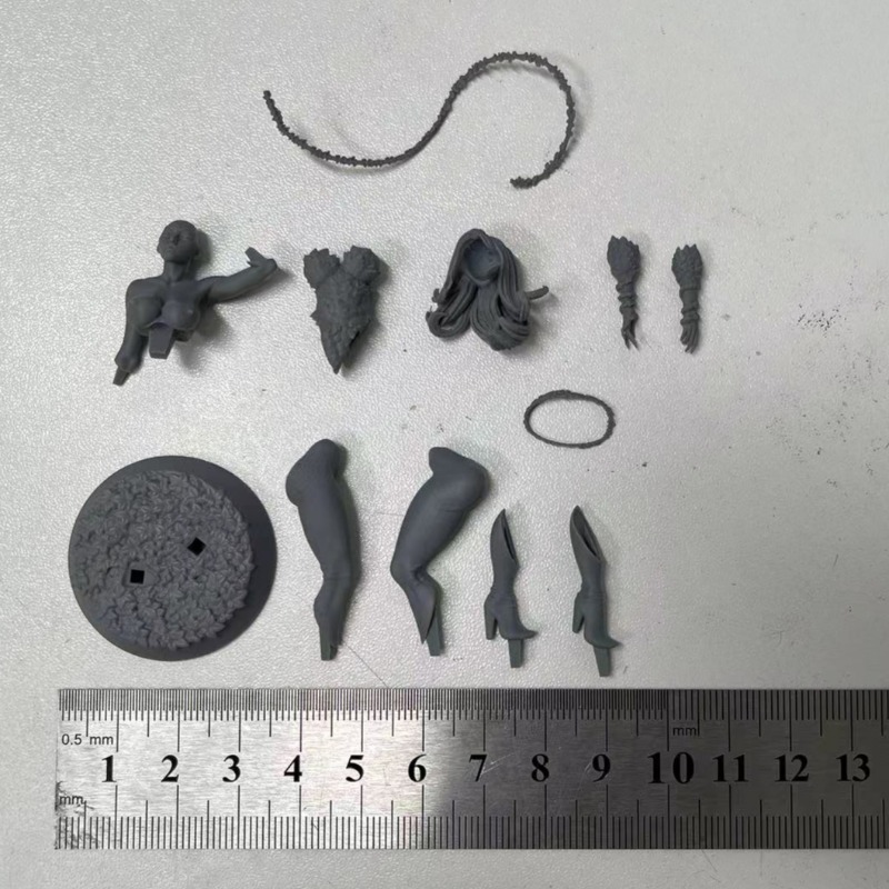 1/24 Scale Forest Queen Scienc - огляд і ціна Science Hobby Kit