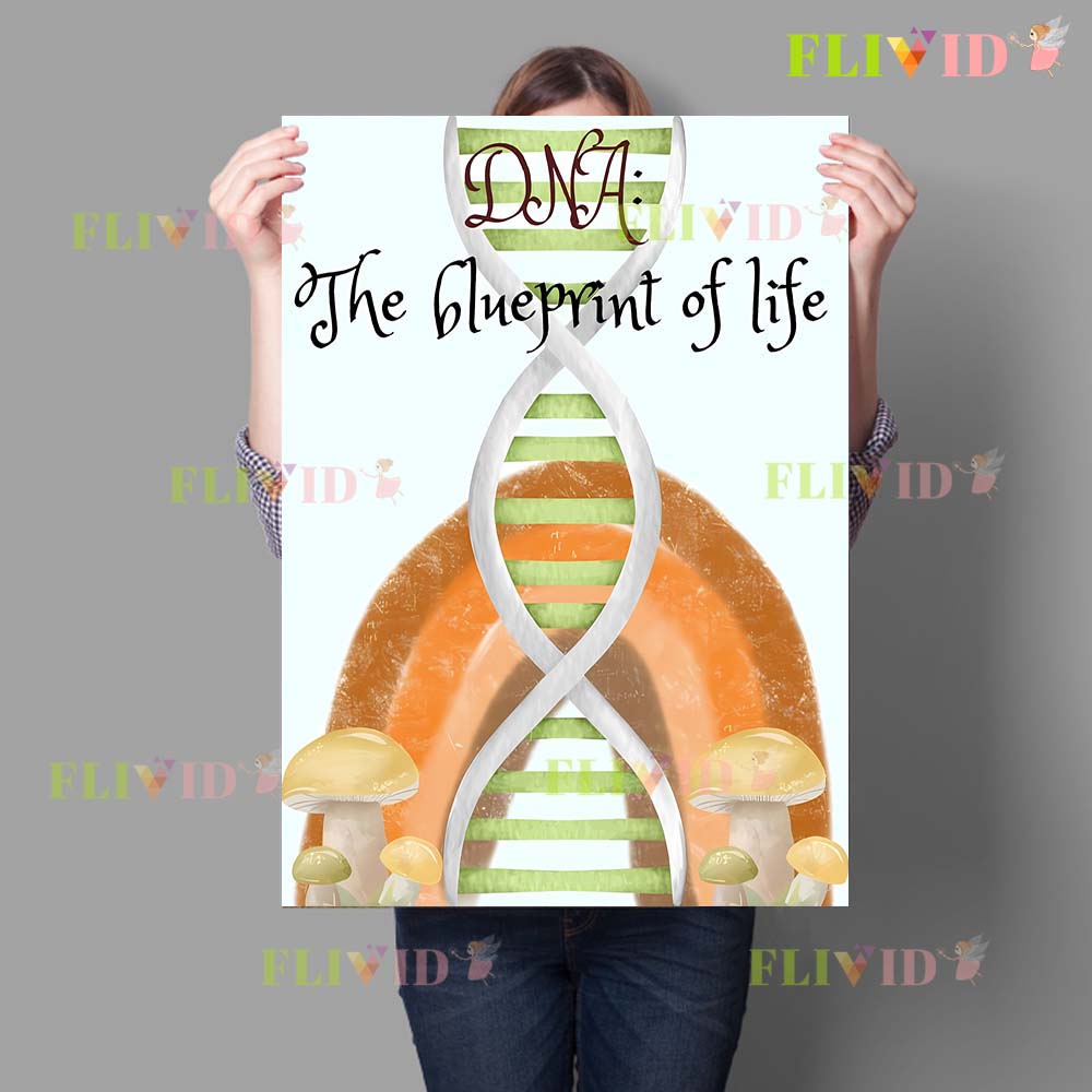 Nursery Cell Biology Science C - огляд і ціна Science Nursery